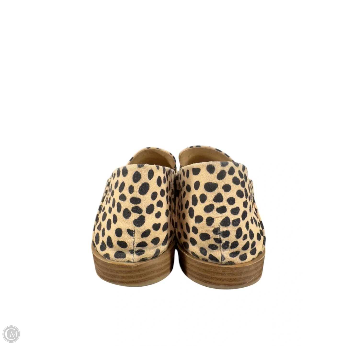 Shoes Flats By Dolce Vita In Animal Print, Size: 8