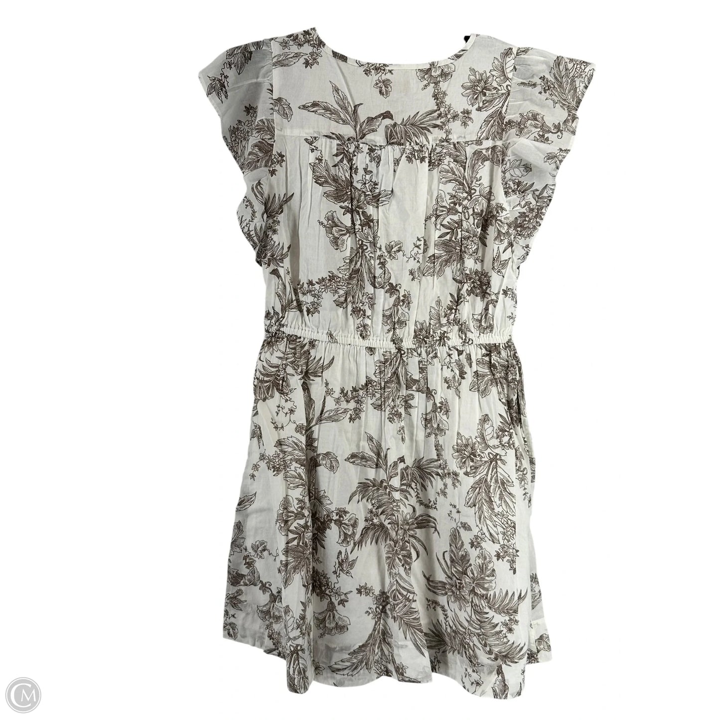 Dress Casual Short By Loft In Brown & White, Size: Mp