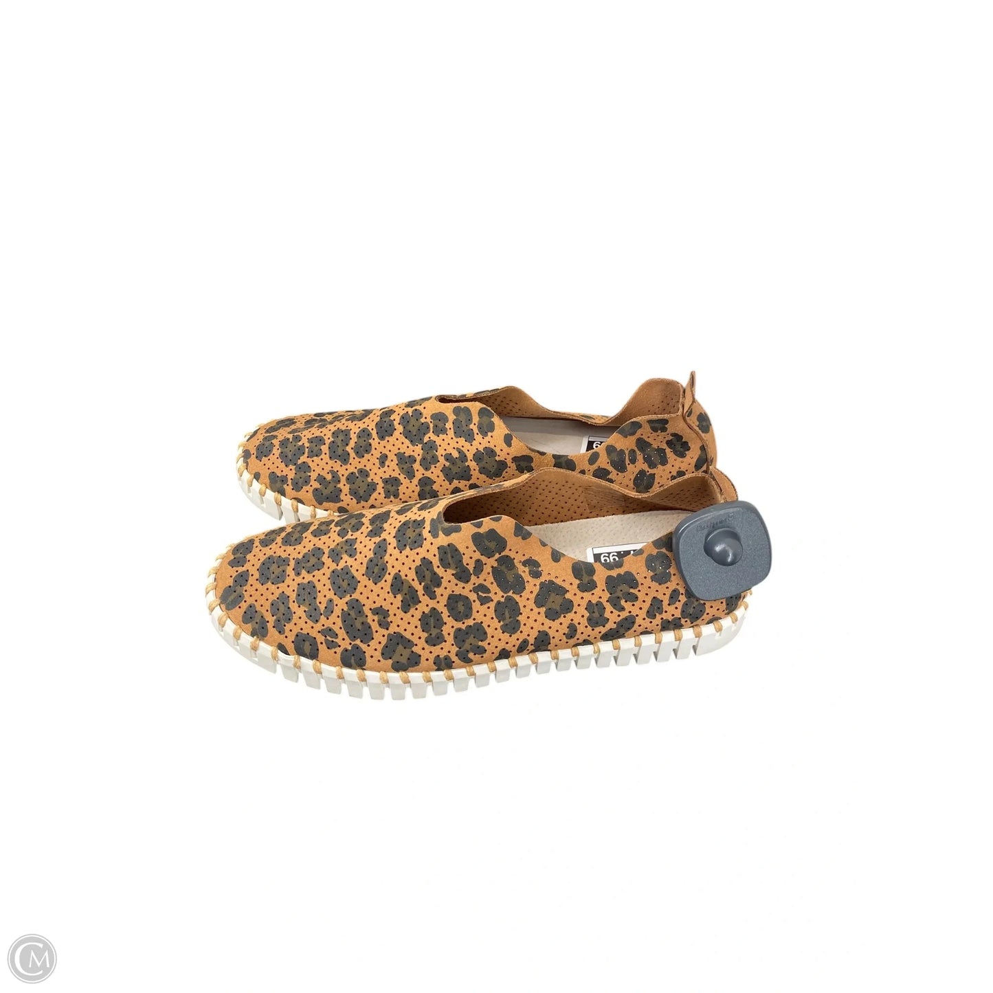 Shoes Flats By Cmc In Animal Print, Size: 11