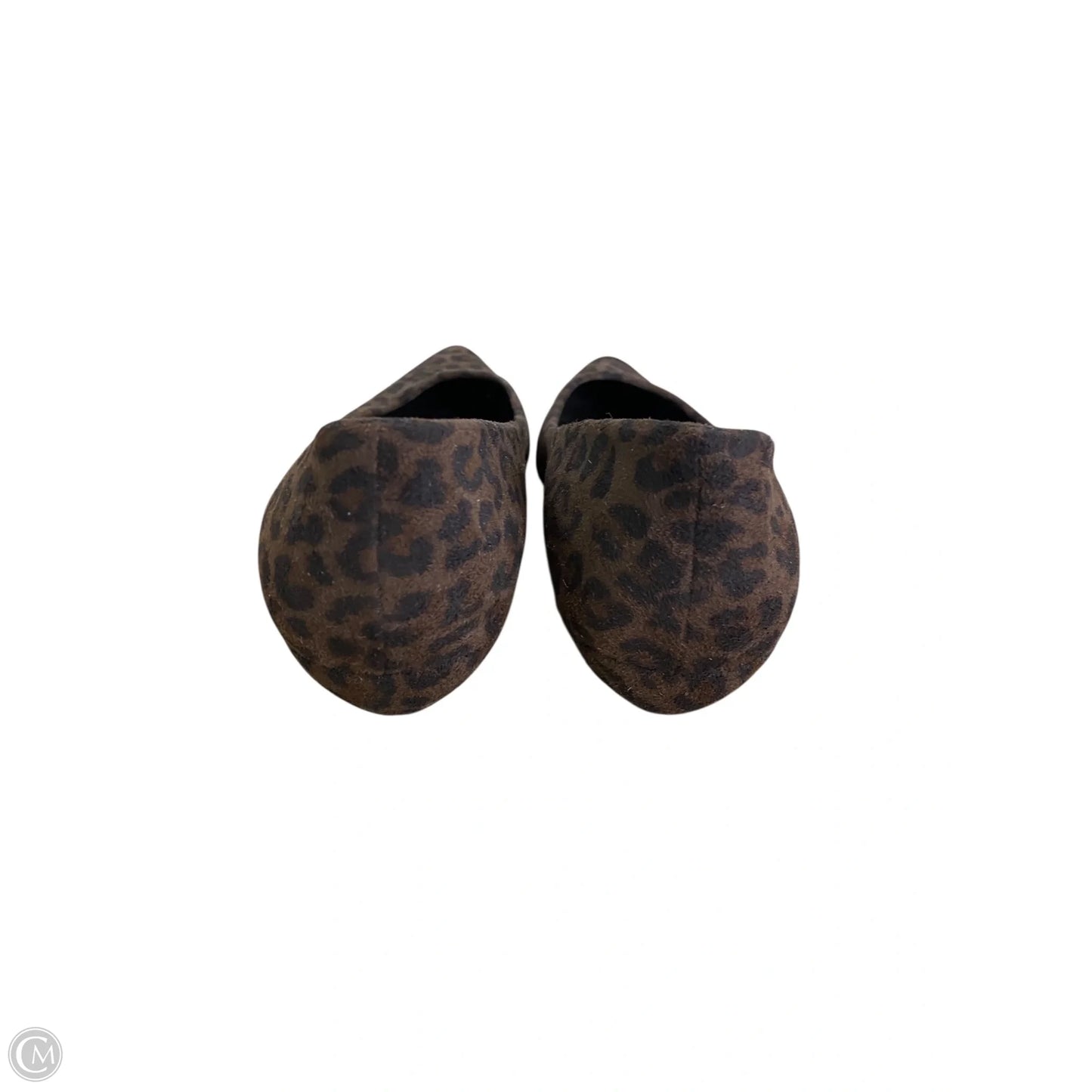 Shoes Designer By Stuart Weitzman In Leopard Print, Size: 8.5
