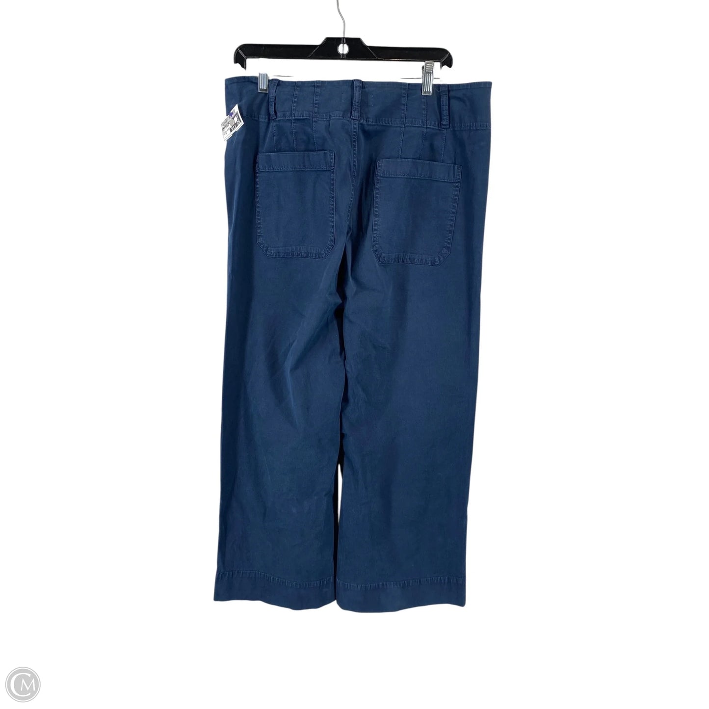 Pants Other By Clothes Mentor In Navy, Size: 14