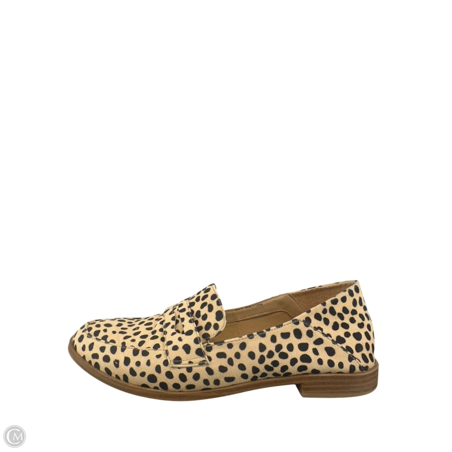 Shoes Flats By Dolce Vita In Animal Print, Size: 8