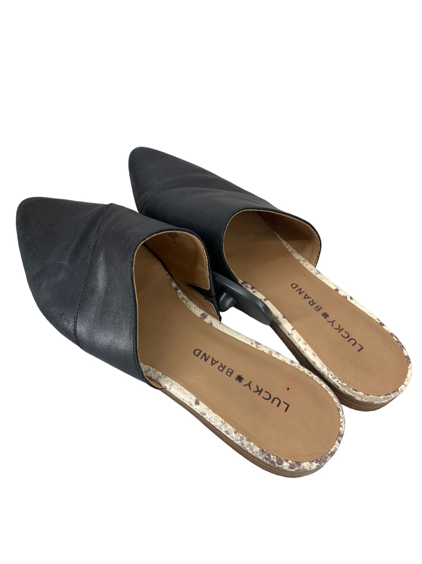 Shoes Flats By Lucky Brand  Size: 8.5