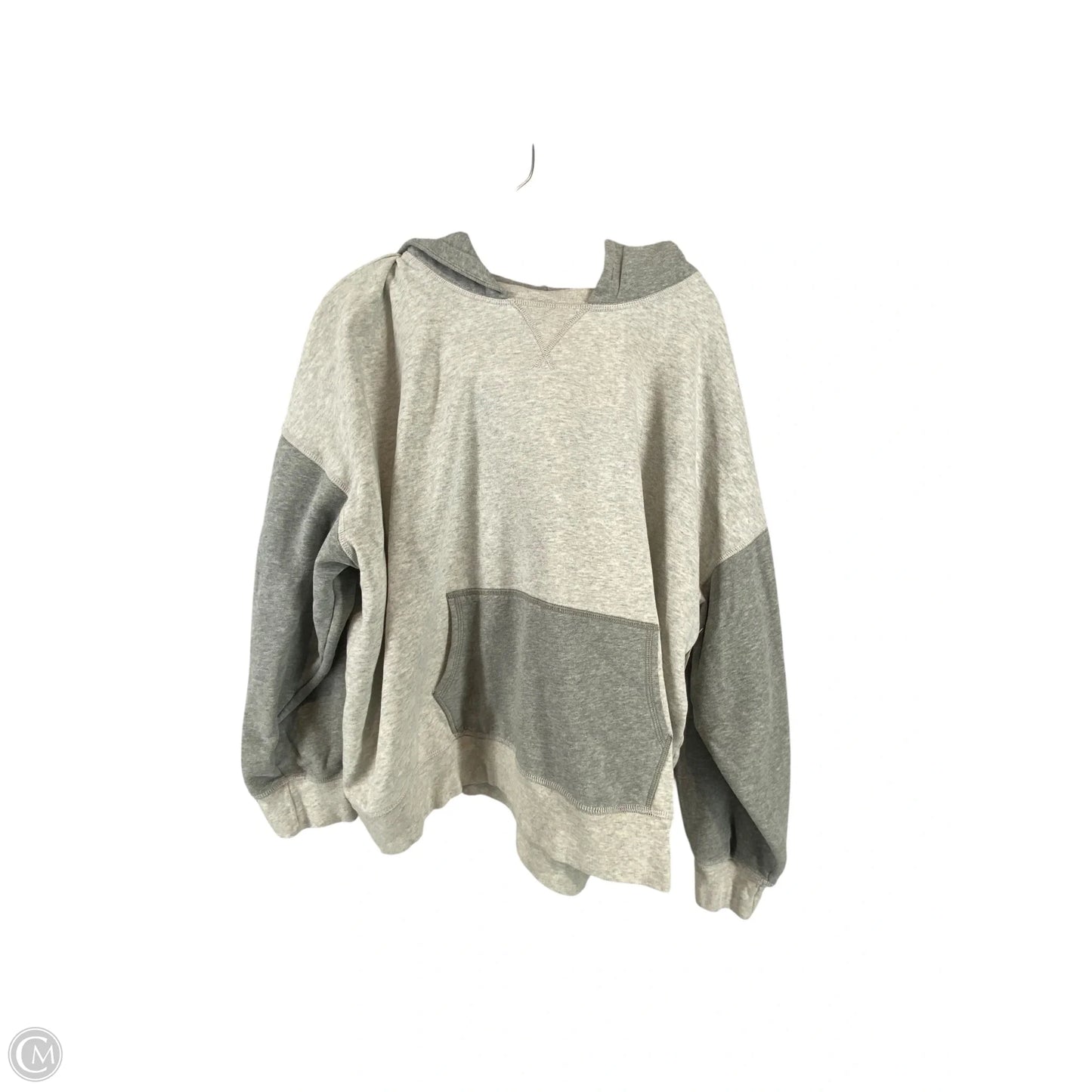 Sweatshirt Hoodie By American Eagle In Grey, Size: Xl