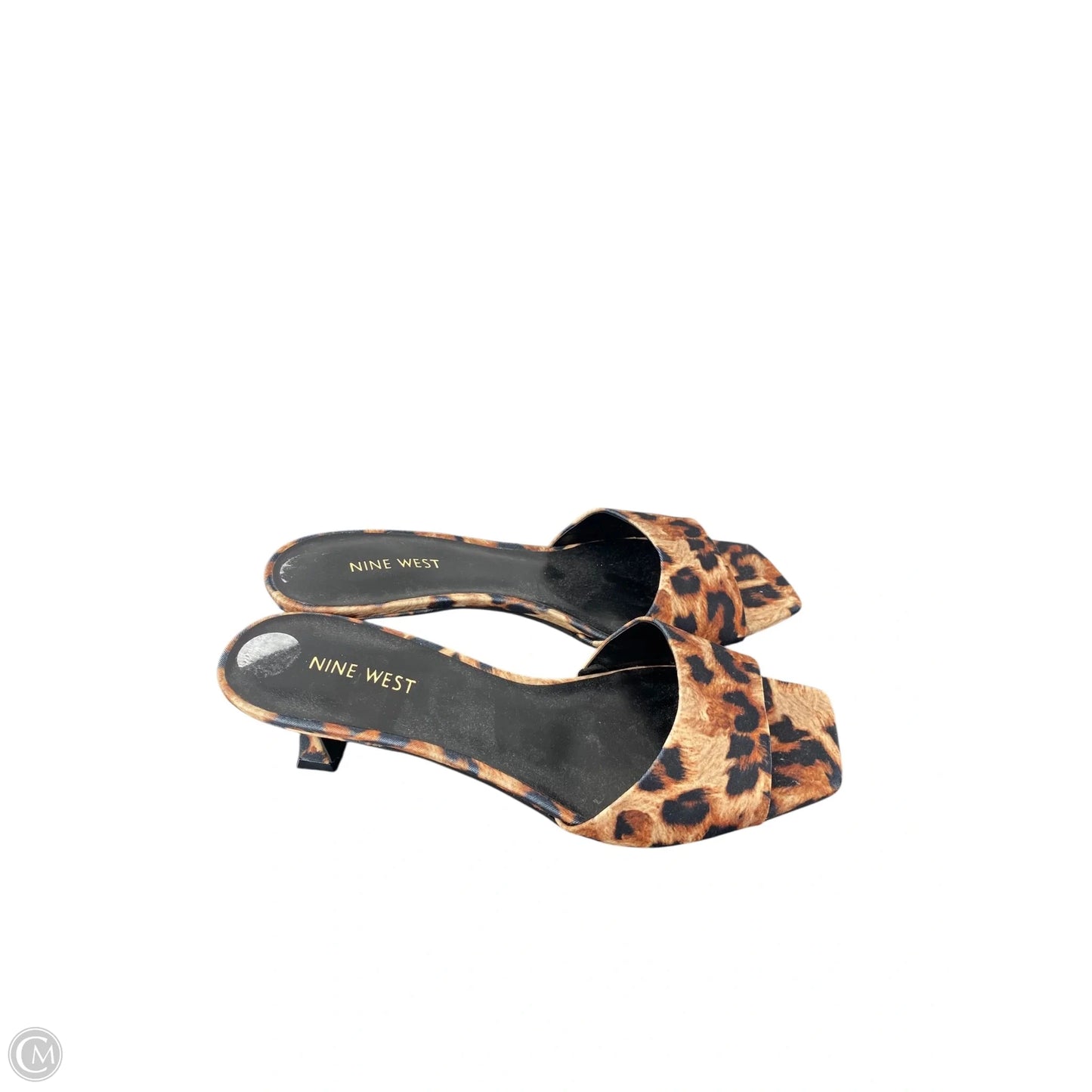 Shoes Heels Kitten By Nine West In Leopard Print, Size: 10