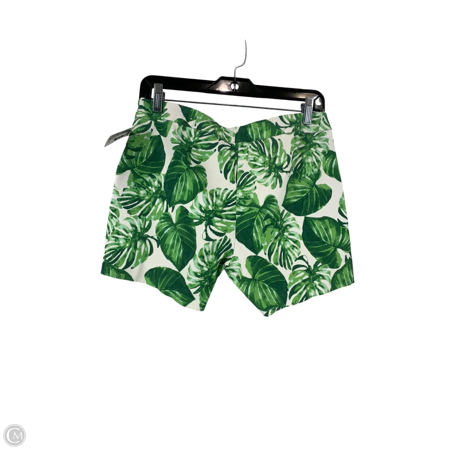 Shorts By Clothes Mentor In Green & White, Size: S