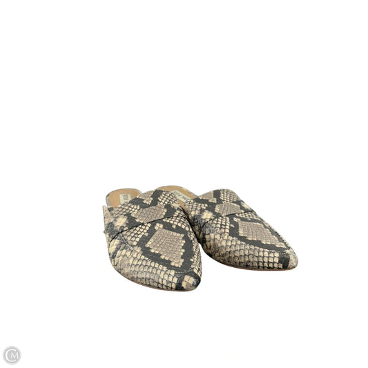Sandals Flats By Steve Madden In Animal Print, Size: 6.5