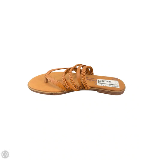 Sandals Flats By Zodiac In Brown, Size: 9