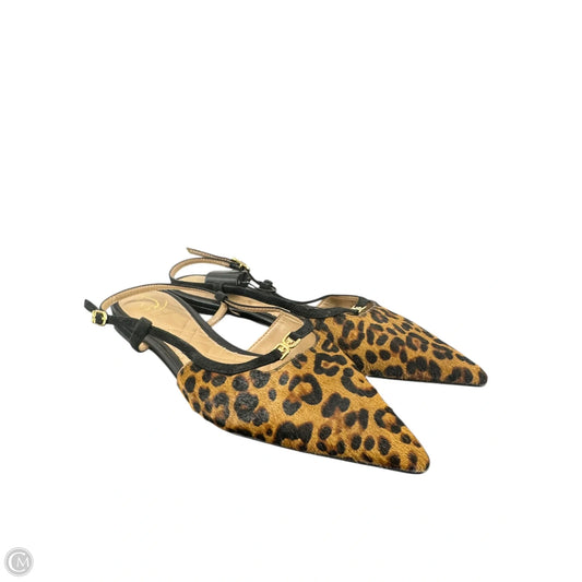 Shoes Flats By Sam Edelman In Animal Print, Size: 8.5
