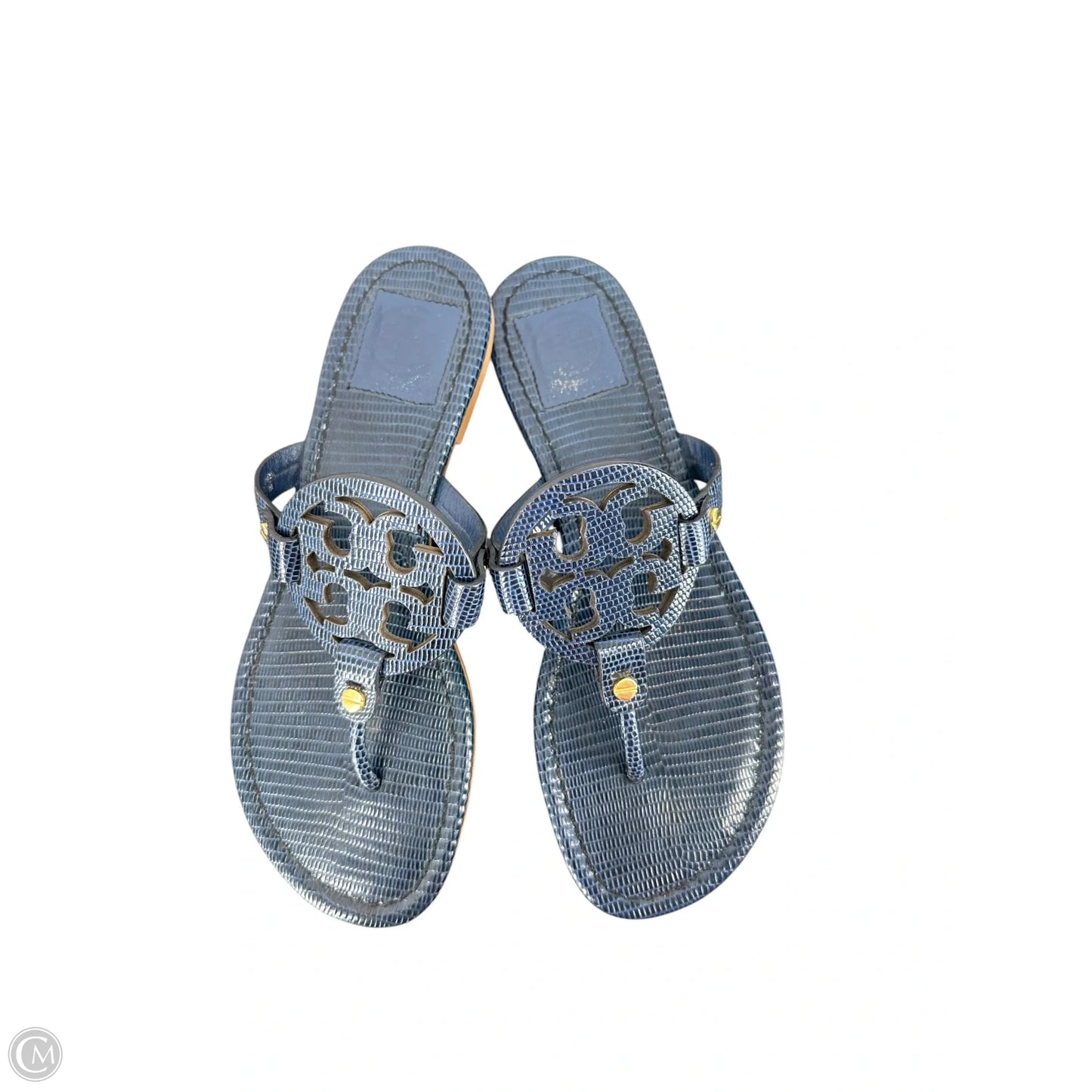 Shoes Designer By Tory Burch In Blue, Size: 7