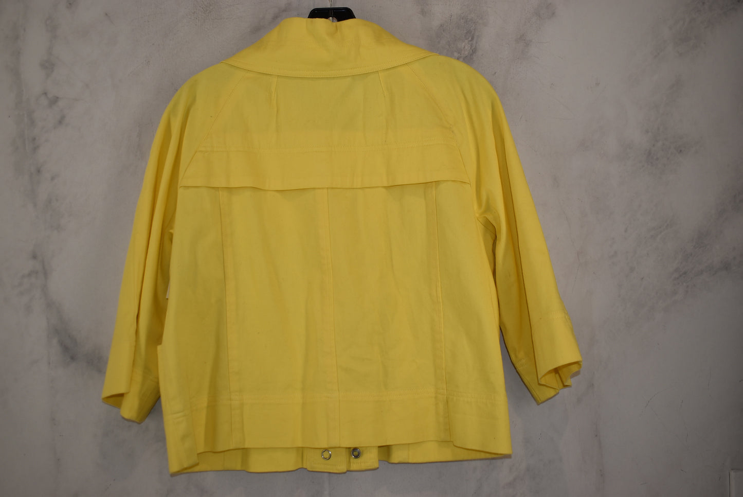 Jacket Shirt By Clothes Mentor  Size: Petite Large
