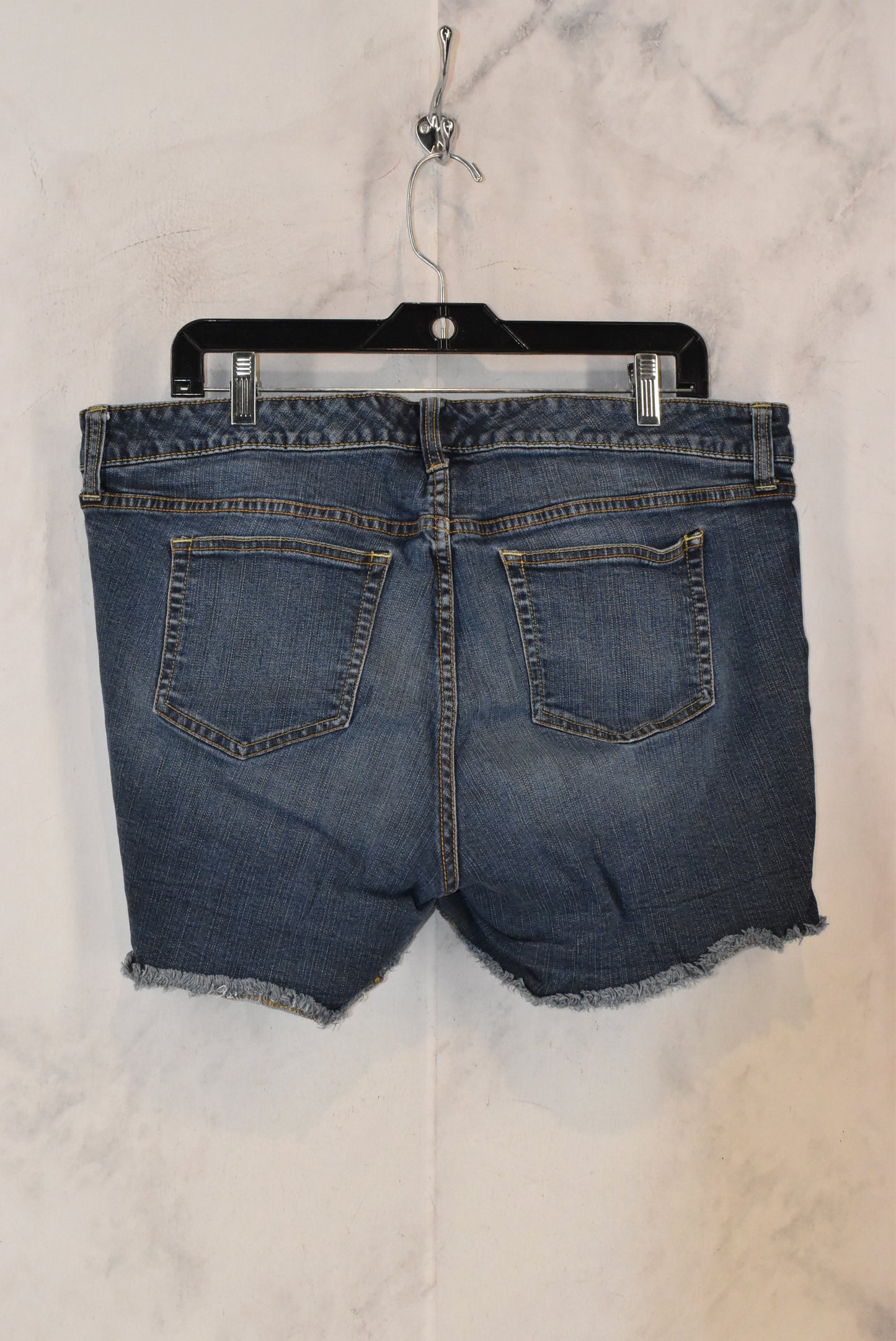 Shorts By Torrid  Size: 16